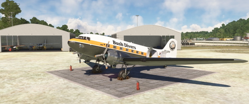DC-3 Bush Divers livery 