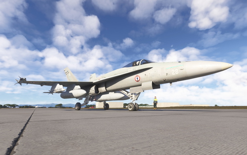 DC Design F/A-18C - FN Version (French Navy)