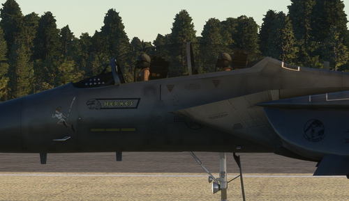 DC Designs F-15E 492nd FS 'HERMES' Nose Art
