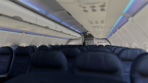 Delta Air Lines | Pack | w/Cabin | Fenixsim A319 (8K + 4K) thumbnail 11