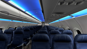 Delta Air Lines | Pack | w/Cabin | Fenixsim A319 (8K + 4K) thumbnail 12