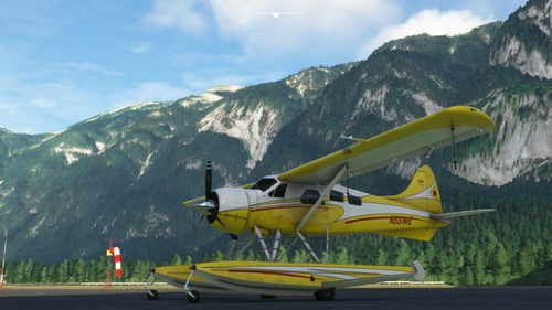 DHC-2 Beaver  N55WE