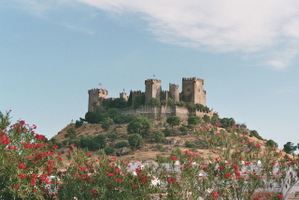 Discover Spain #4 - Andalusia thumbnail 5