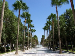Discover Spain #4 - Andalusia thumbnail 23