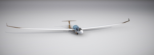 Discus 2C- 10 Years Livery - Gold Virtual Airlines