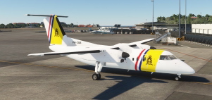 Dreamwings/Turbine Design Dash8-100Q thumbnail 3