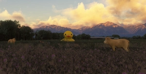 Ducky thumbnail 6