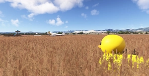 Ducky thumbnail 7