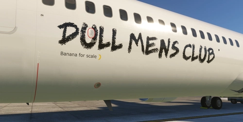 Dull Mens 737-9