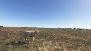 EGZV - Lundy Island Airfield thumbnail 6