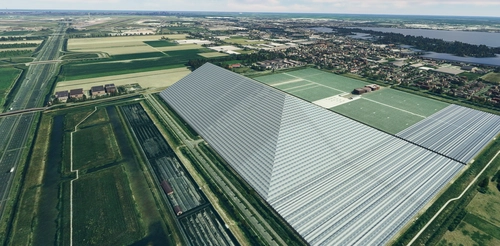 EHAM Schiphol south farm "pyramid" removal