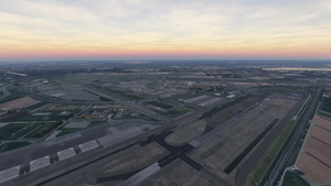 EHAM Tree removal thumbnail 1