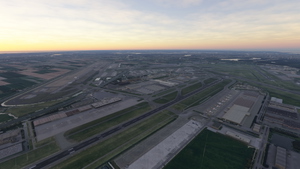 EHAM Tree removal thumbnail 2