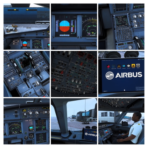 Ergonomic custom camera views (Fenix A321) CFM and IAE