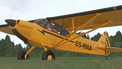 ES-RNA, ES-UBA X-Cub (Fictional)