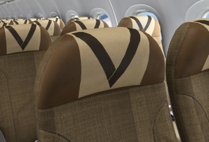 Etihad Airways  A6-EJA  (Sharklet) IAE | 8K & 4K | w / Cabin | Fenixsim A320 thumbnail 9