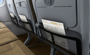 Etihad Airways  A6-EJA  (Sharklet) IAE | 8K & 4K | w / Cabin | Fenixsim A320 thumbnail 10
