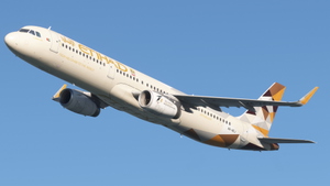 Etihad Airways [PACK] w/cabin | Fenixsim a321SL thumbnail 2