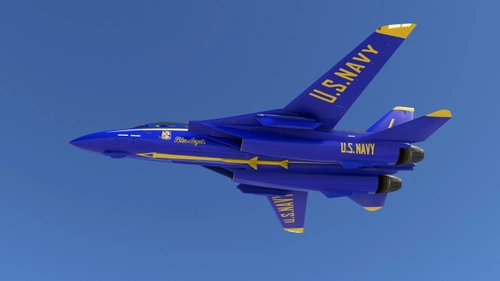 F-14B Blue Angels  1