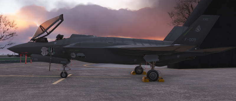 F-35 LIGHTNING II Liveries のために Microsoft Flight Simulator | MSFS