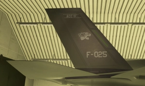 F35a Koninklijke Luchtmacht F-025 2024 Livery thumbnail 2