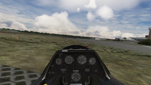 f7 Simulations ASK 21 Custom Cameras
