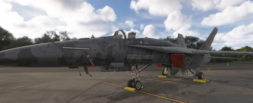 F/A 18 Couch Force