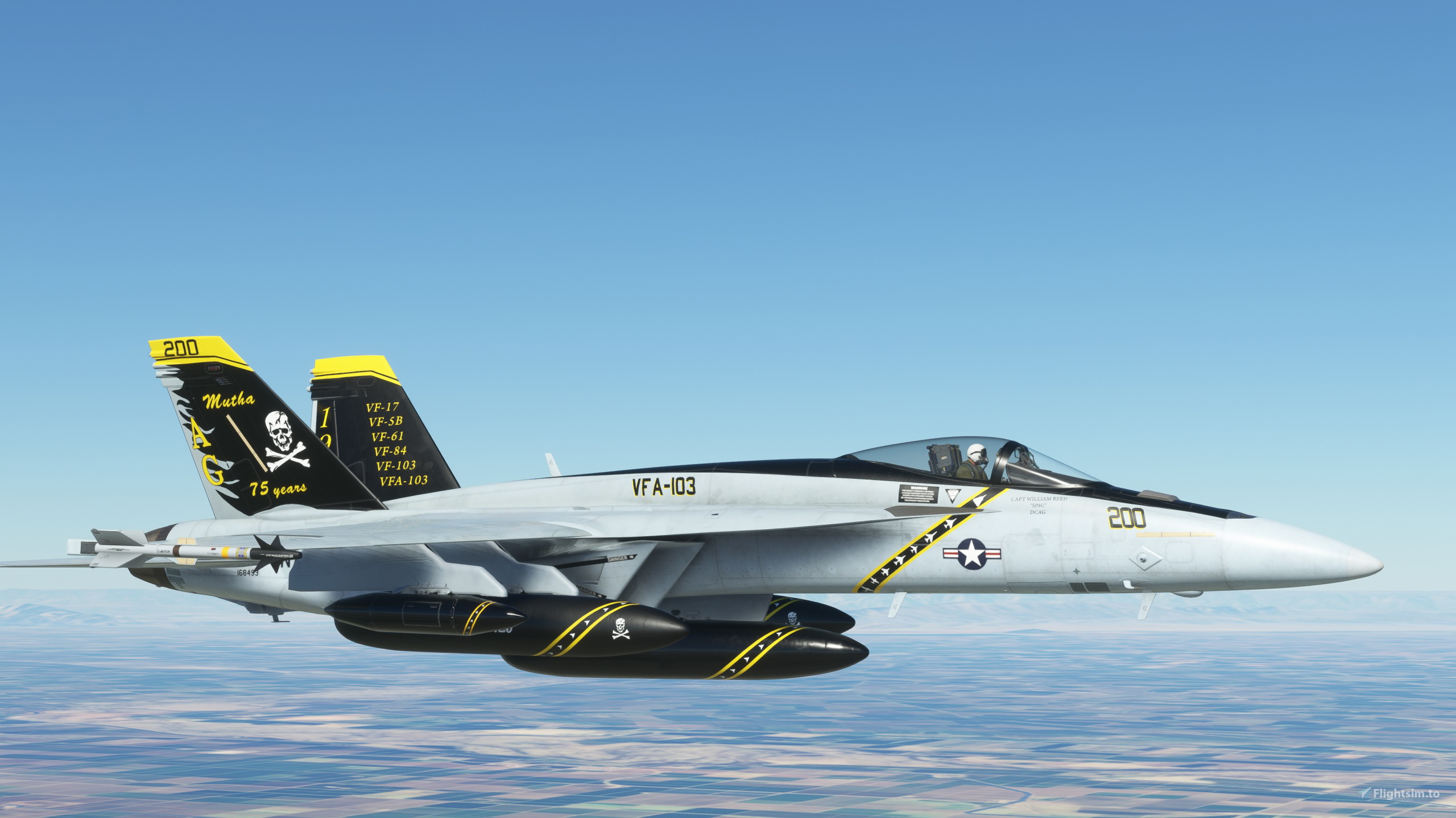 FA-18E VFA-103 SUPER WARRIOR w/MOD のために Microsoft Flight