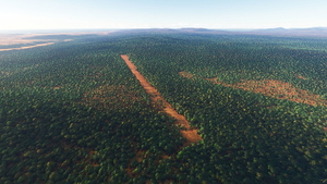 Far North Queensland Missing Airfields thumbnail 21