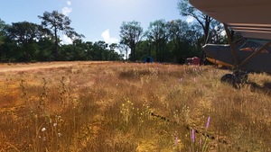 Far North Queensland Missing Airfields thumbnail 24