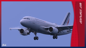 Fenix A319 | Air France Fleet Pack [8K] thumbnail 6