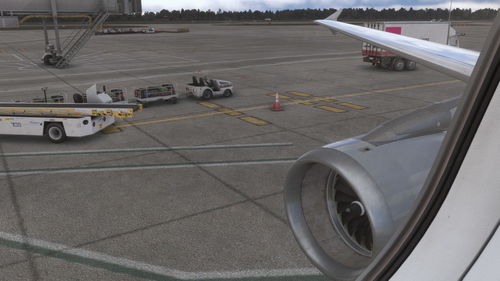 Fenix A319 IAE Custom Camera Views