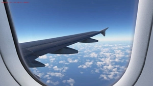 Fenix A320 Camera Views thumbnail 5