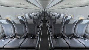 Fenix A320 CFM  — Finnair  Package  (OH-LXA & OH-LXB )  w/cabin  thumbnail 7