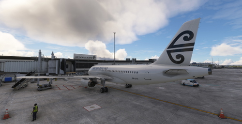 Fenix A319 IAE - Air New Zealand All White