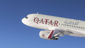 Qatar Airways [Package] w/Cabin Fenixsim A320 thumbnail 2