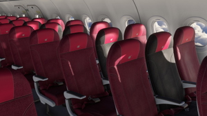 Qatar Airways [Package] w/Cabin Fenixsim A320 thumbnail 10