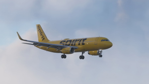 Fenix A320 | Spirit Airlines (Pack) | 4K & 8K w/ Cabin thumbnail 3