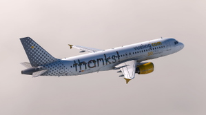 Fenix A320 | Vueling 50 million passengers EC-JZQ| 8k + Cockpit Decals + Cabin thumbnail 2
