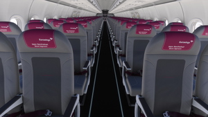 Fenix A320 v2 /w cabin Eurowings D-A* Fleet thumbnail 8