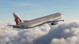 Fenix A321  IAE Qatar Airways A7-ADS 8K & 4K thumbnail 5