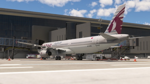 Fenix A321  IAE Qatar Airways A7-ADS 8K & 4K thumbnail 6