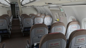 Fenix A321 Sharklet | Asiana Airlines Livery Pack - HL8004, HL8018, HL8038 & HL8071 (Star Alliance) thumbnail 8