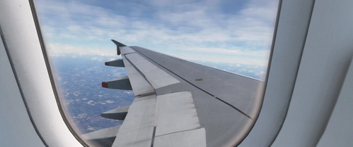 FENIX Airbus A319 CFM & IAE - Realistic Crew & Passenger Views