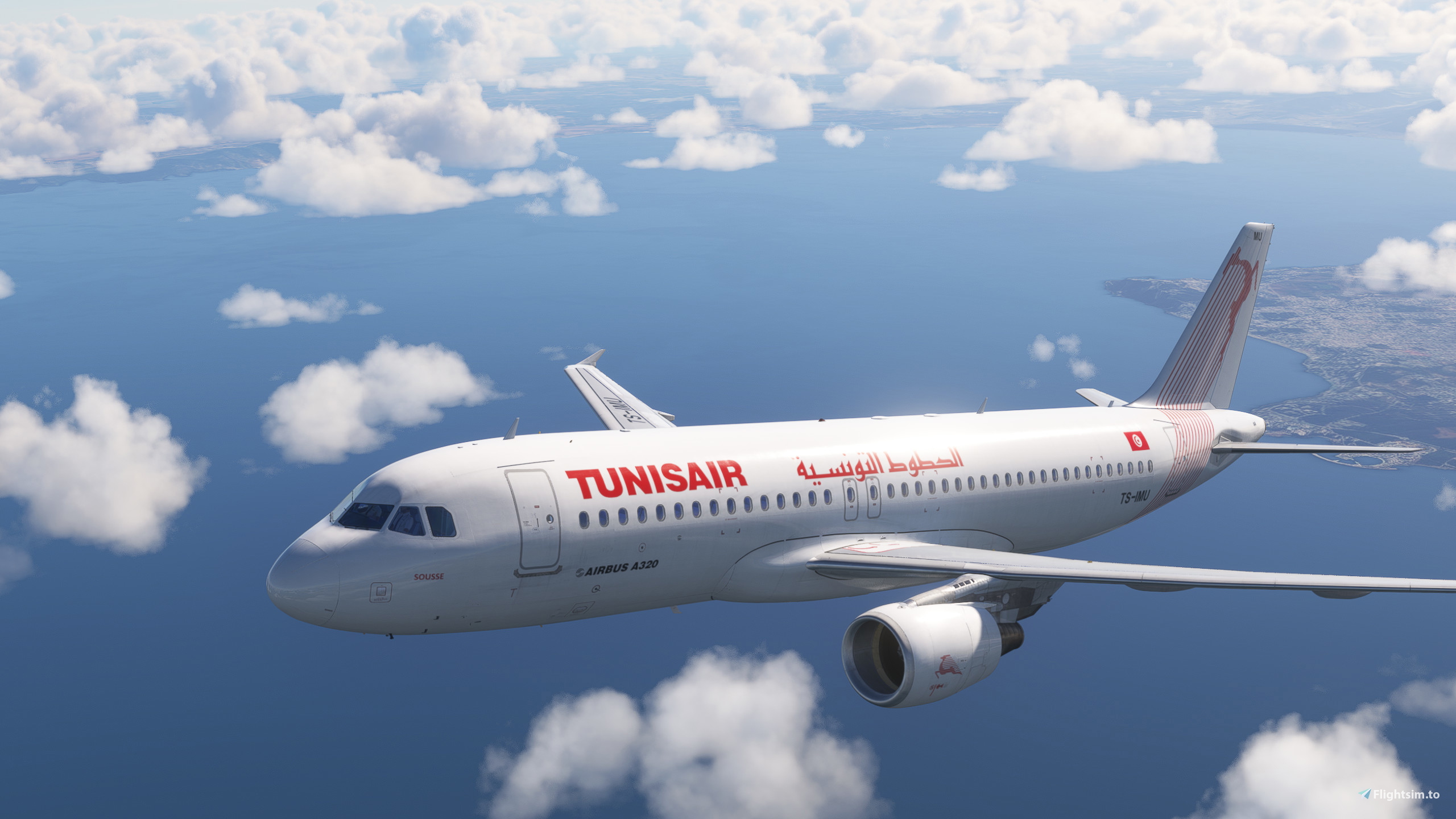 Fenix Airbus A320-214 Tunisair TS-IMU [8K] - Image 1