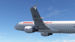 Fenix Airbus A320-214 Tunisair TS-IMU [8K] thumbnail 6