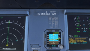 Fenix Airbus A320-214 Tunisair TS-IMU [8K] thumbnail 8