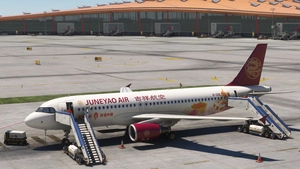 FENIX  A319 A320 A321 GSX PRO Configuration File thumbnail 2