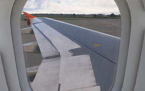 Fenix Simulation A319  Aurora Airlines RA-73673  [8K] w/Cabin thumbnail 10