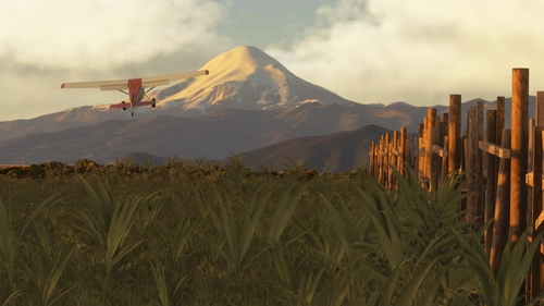 Bush Escenery Mexico, front Pico de Orizaba (Fictional) 